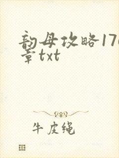 韵母攻略176章txt