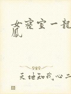 女寝室一龙战5凤
