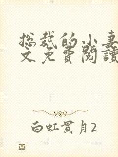 总裁的小妻子全文免费阅读