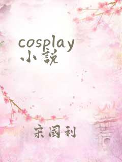 cosplay小说