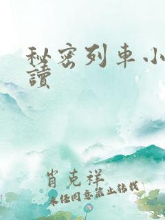 秘密列车小说阅读