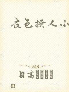 夜色撩人小说