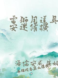 雷狮用道具玩哭安迷修扩