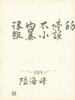 很肉不停的做很粗暴小说