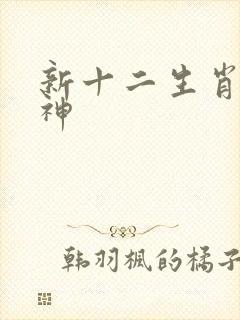 新十二生肖守护神