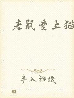 老鼠爱上猫下载