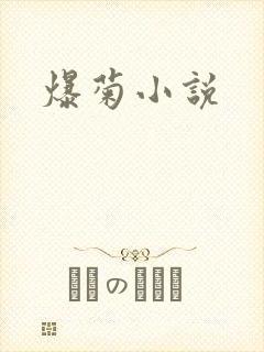 爆菊小说