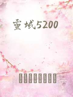 灵域5200