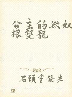 公主的欲奴h四根双龙