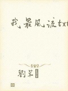 我最风流txt