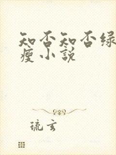 知否知否绿肥红瘦小说