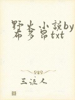 野火小说by夏布多昂txt