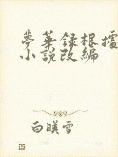 梦华录根据什么小说改编