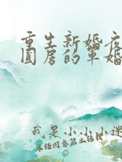 重生新婚夜正在圆房的军婚