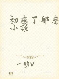 初恋了那么多年小说