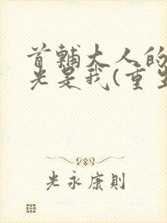 首辅大人的白月光是我(重生)