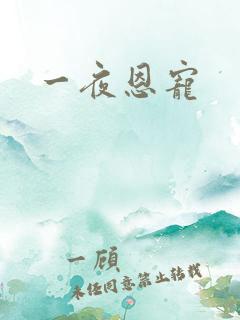 一夜恩宠