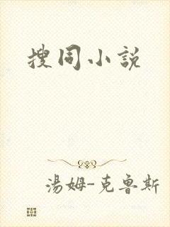 搜同小说