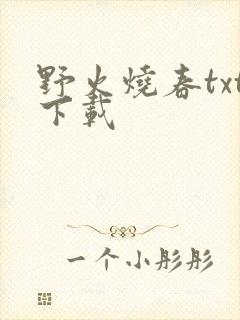 野火烧春txt下载