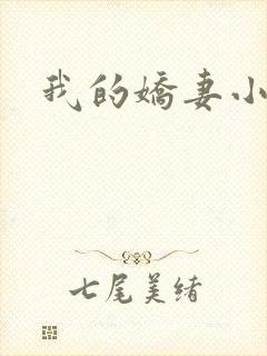 我的娇妻小说