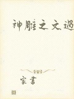 神雕之文过饰非