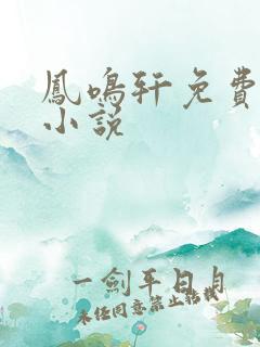 凤鸣轩免费言情小说