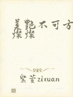 美艳不可方物耿灿灿