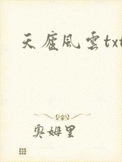 天庐风云txt