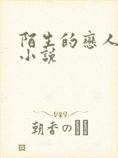 陌生的恋人原著小说