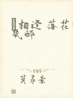 囍相逢 落花能几醉