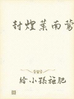 封煜叶南莺小说