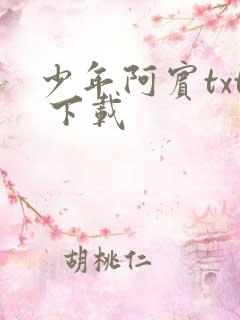 少年阿宾txt 下载