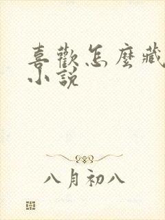 喜欢怎么藏不住小说