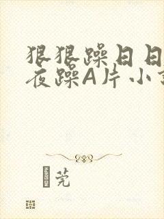 狠狠躁日日躁夜夜躁A片小说