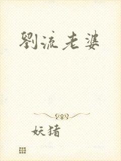 刘流老婆