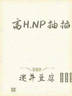 高H.NP抽插