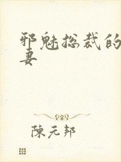 邪魅总裁的替身妻