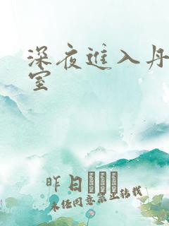 深夜进入丹丹卧室