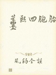 叶熙四胞胎厉子墨