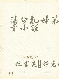 荡公乱妇第51章小说