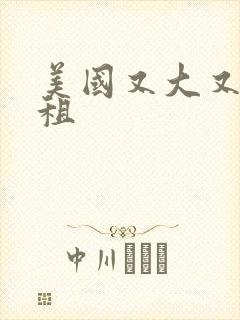 美国又大又长又租