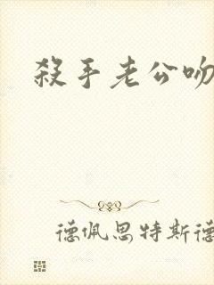 杀手老公吻上瘾