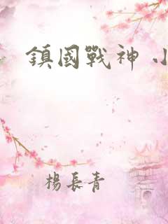 镇国战神 小说