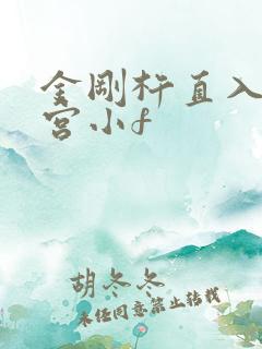 金刚杵直入莲花宫小f