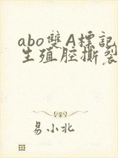 abo双A标记生殖腔撕裂