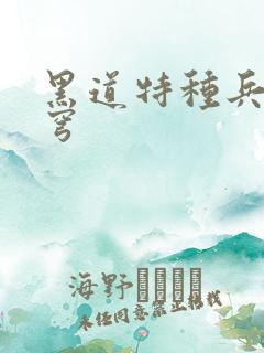 黑道特种兵逆苍穹