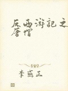 反西游记之混混唐僧