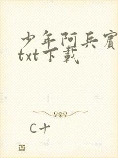少年阿兵宾小说txt下载
