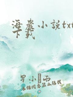 海岩小说txt下载