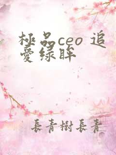 极品ceo 追爱绿眸